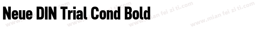 Neue DIN Trial Cond Bold字体转换